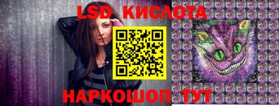 СК Ижевск