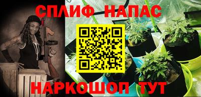 гидра Железноводск