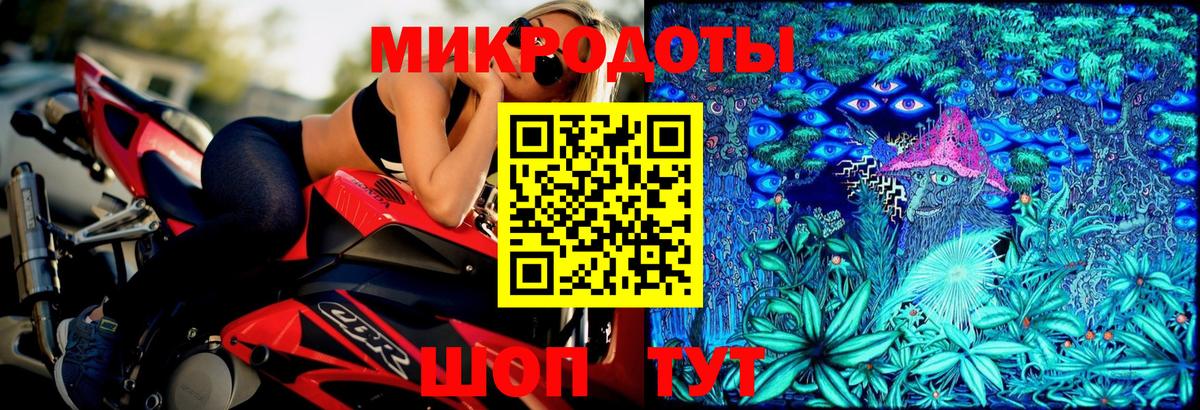 Псилоцибиновые грибы Psilocybine cubensis Нововоронеж