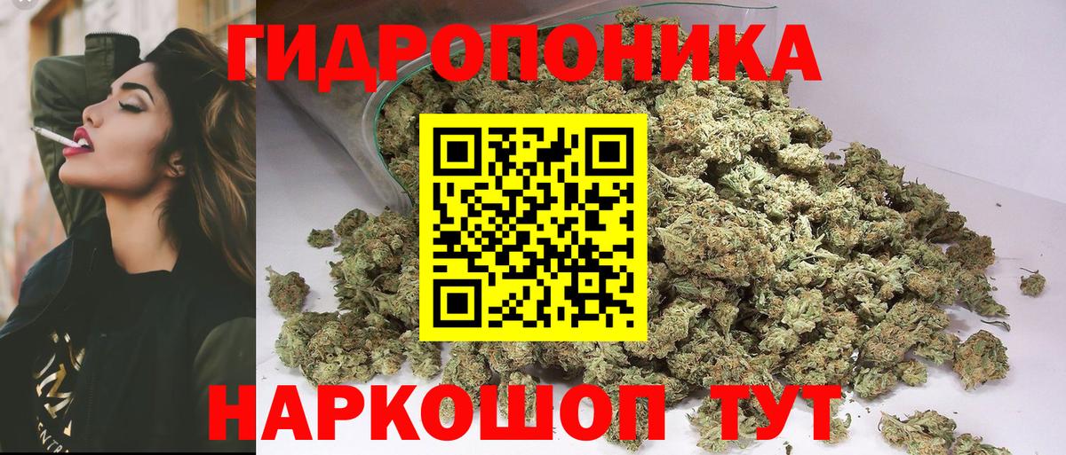 Каннабис ГИДРОПОН Нововоронеж